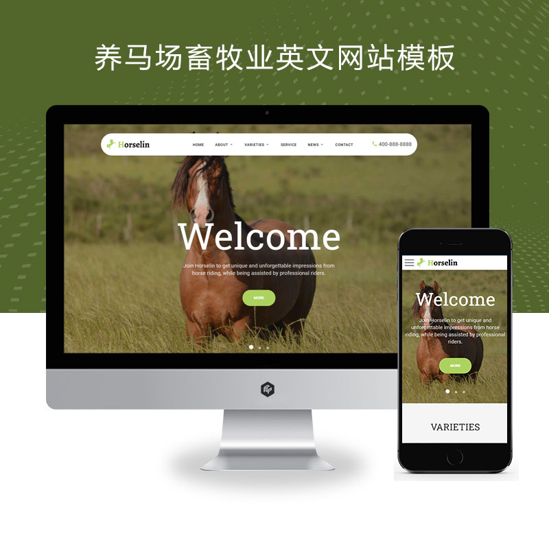 养马场畜牧业养殖饲料