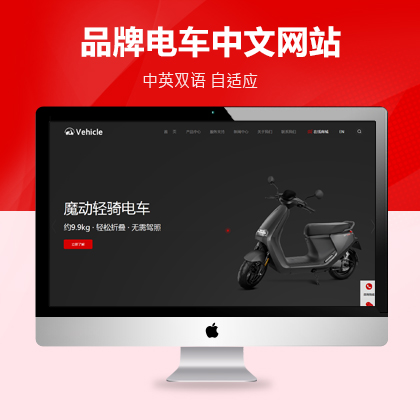 电动平衡车体感车思维车